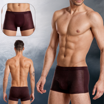 Bamboo Fiber Boxer Briefs (Pack of 5)